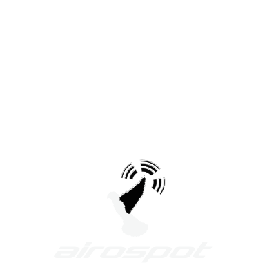 Airospot Intelligence (AI)